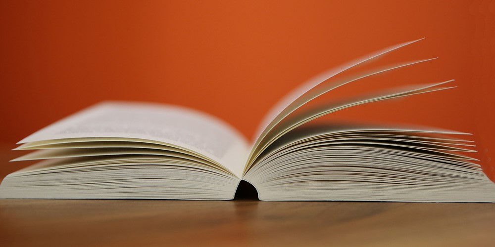 LIVRO ABERTO 1000