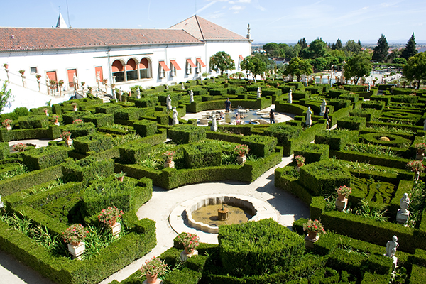 castelo branco