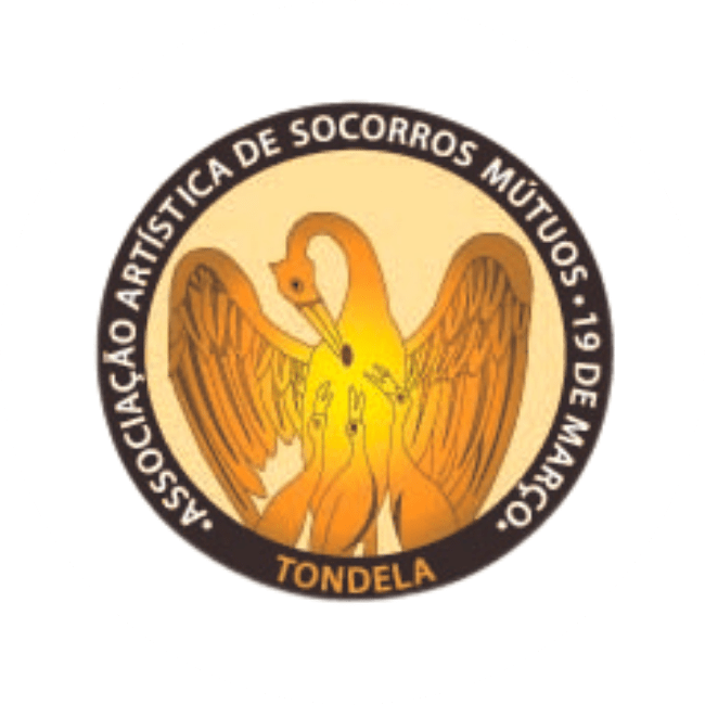 19 MARÇO Custom Taxonomy - Associações