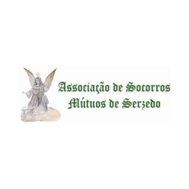 SERZEDO Custom Taxonomy - Associações