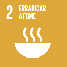 ODS 2 — Erradicar a fome