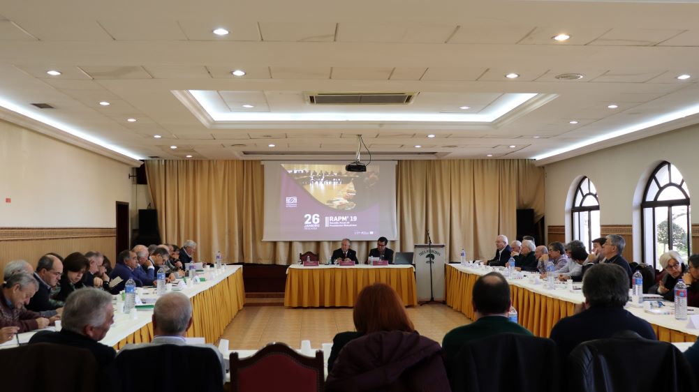 RAPM 19