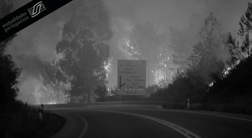 Incêndios: UMP manifestou a sua solidariedade imagem fogo